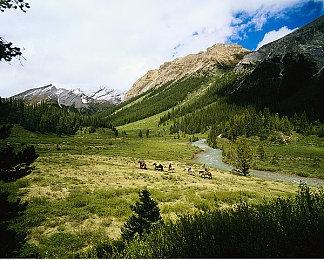 《博德之门3》已经是Xbox平台最畅销的游戏